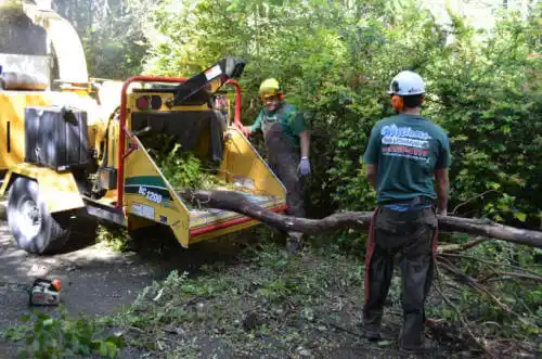 tree services Lisman